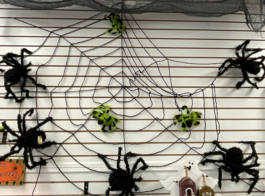 Halloween Black Spider Web
