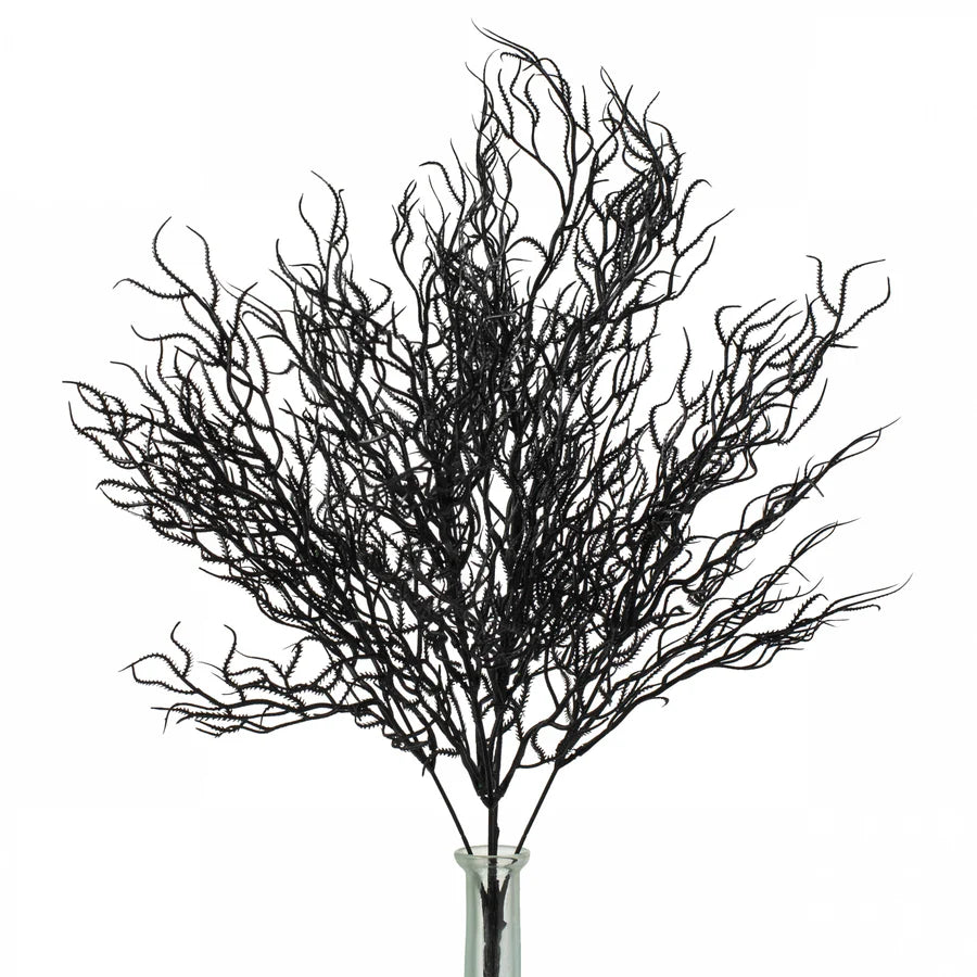 21" Cottonii Seaweed Bush: Black