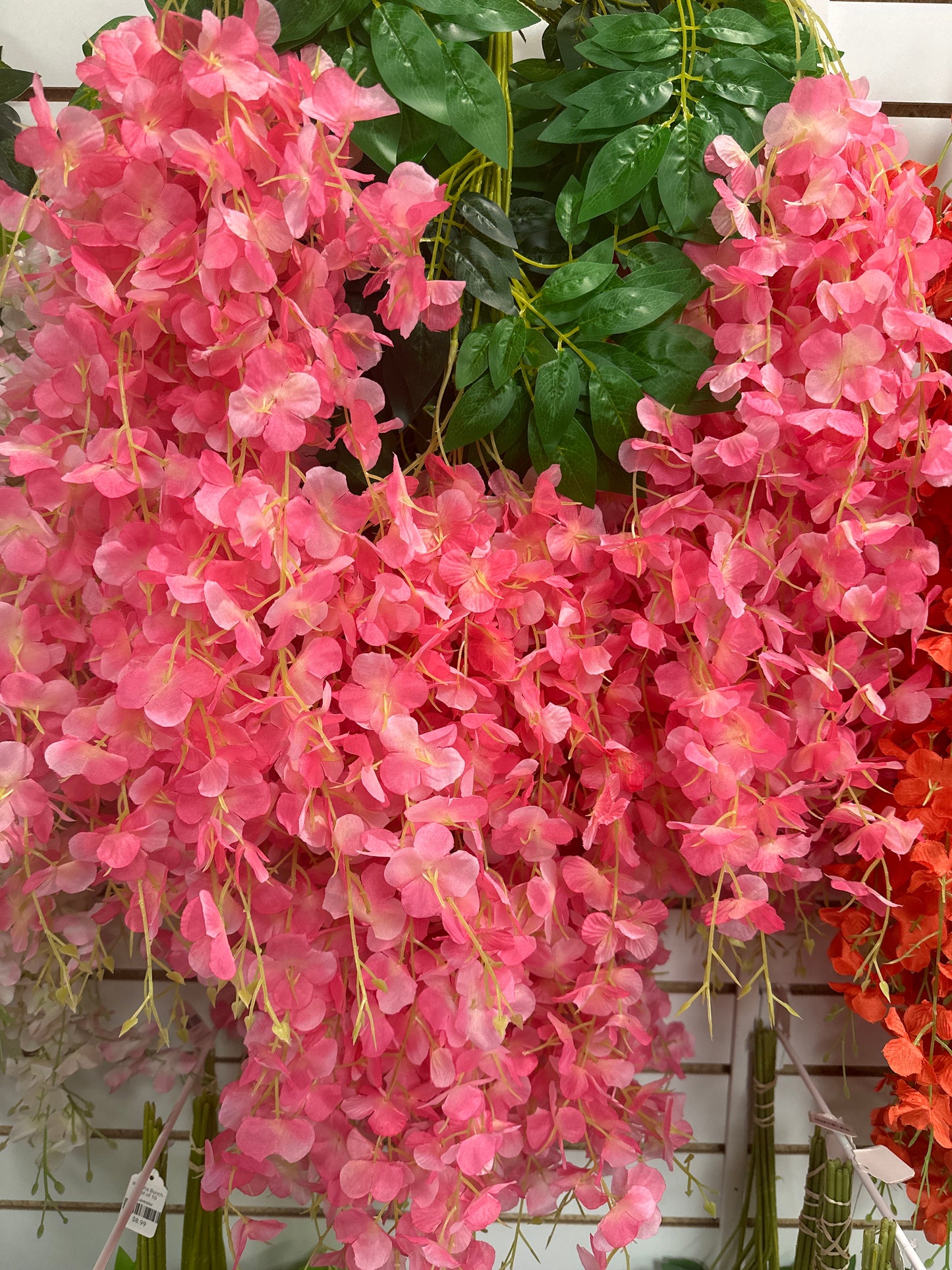 Wisteria Bunch - Set of 10