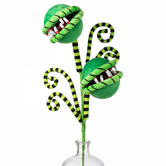 24" Venus Flytrap Curly Spray: Black & Green