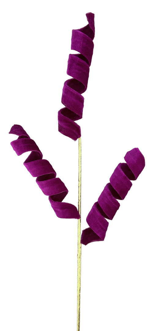 24" Curly Spray: Fuchsia