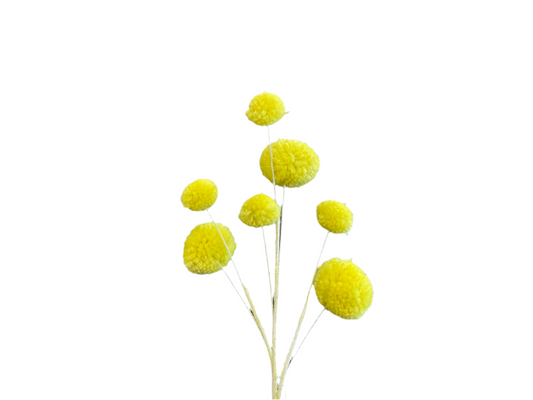 SM Yellow Pom Pom Ball Pick