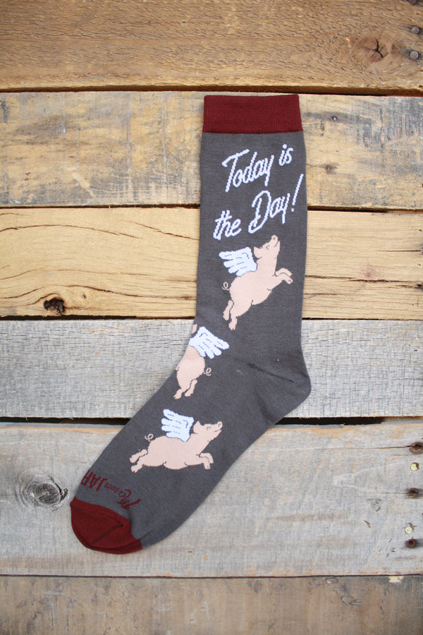 Mason Jar Socks Today is the Day
