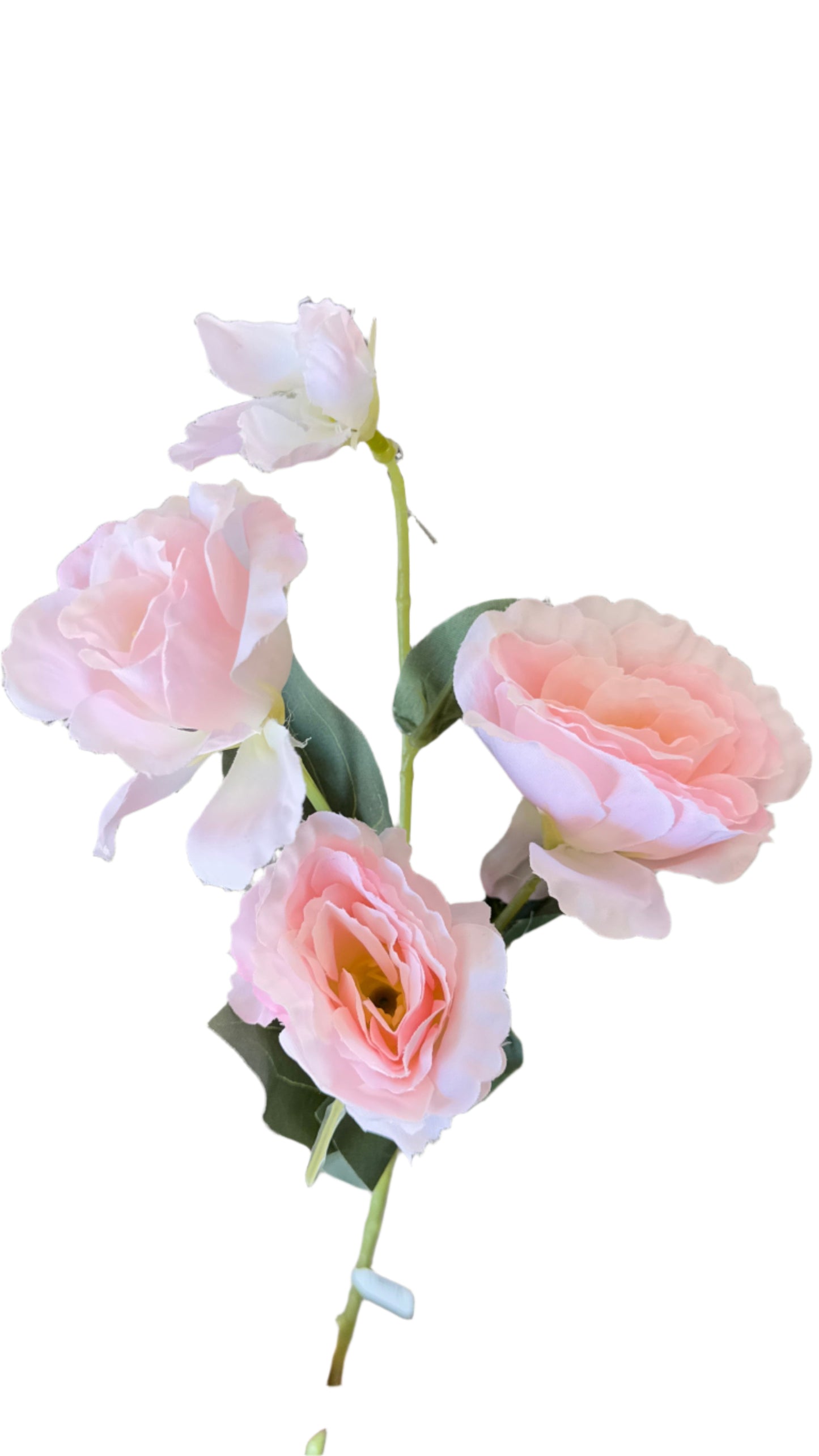 27” Lisianthus Floral Stem