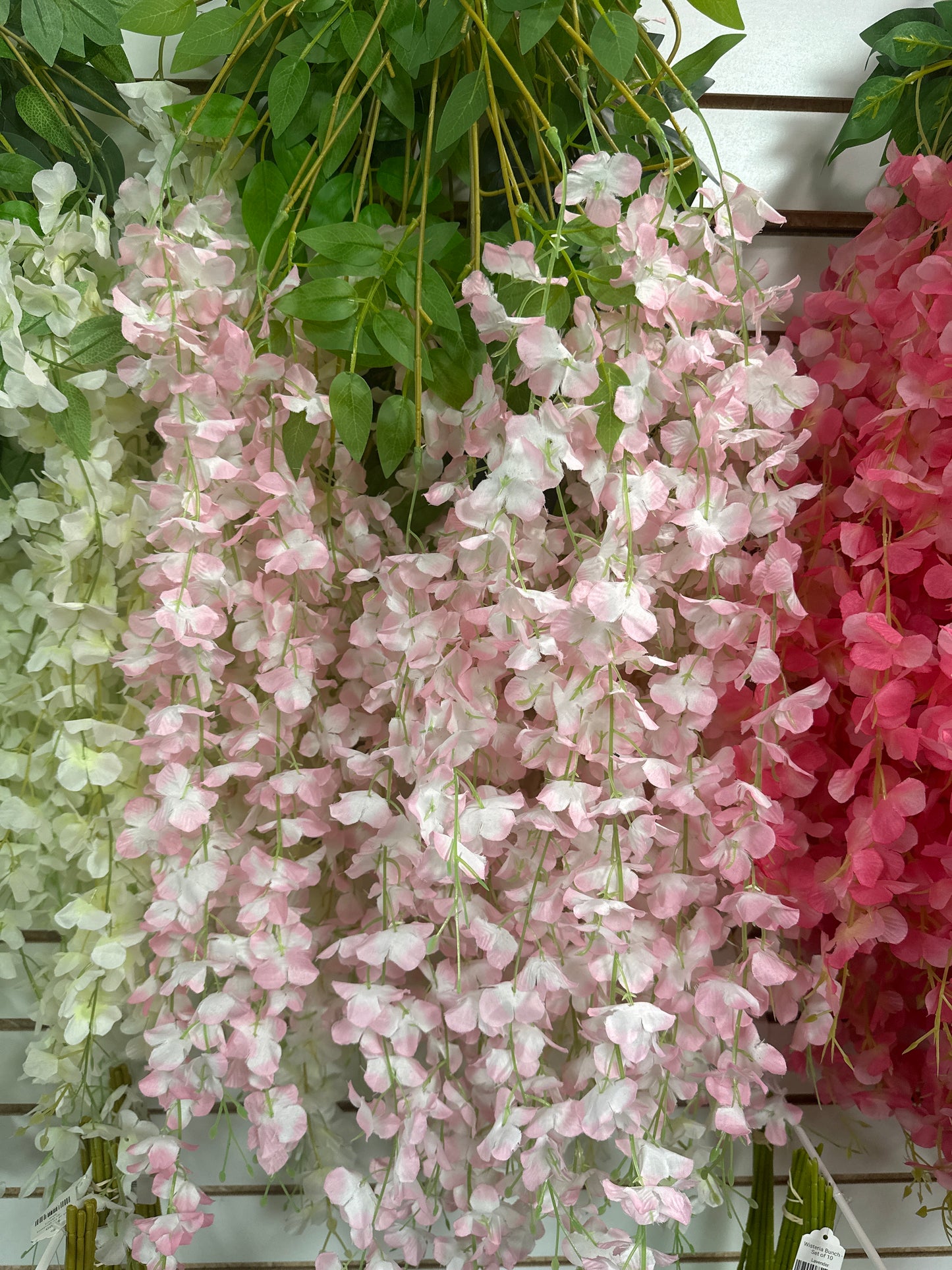 Wisteria Bunch - Set of 10