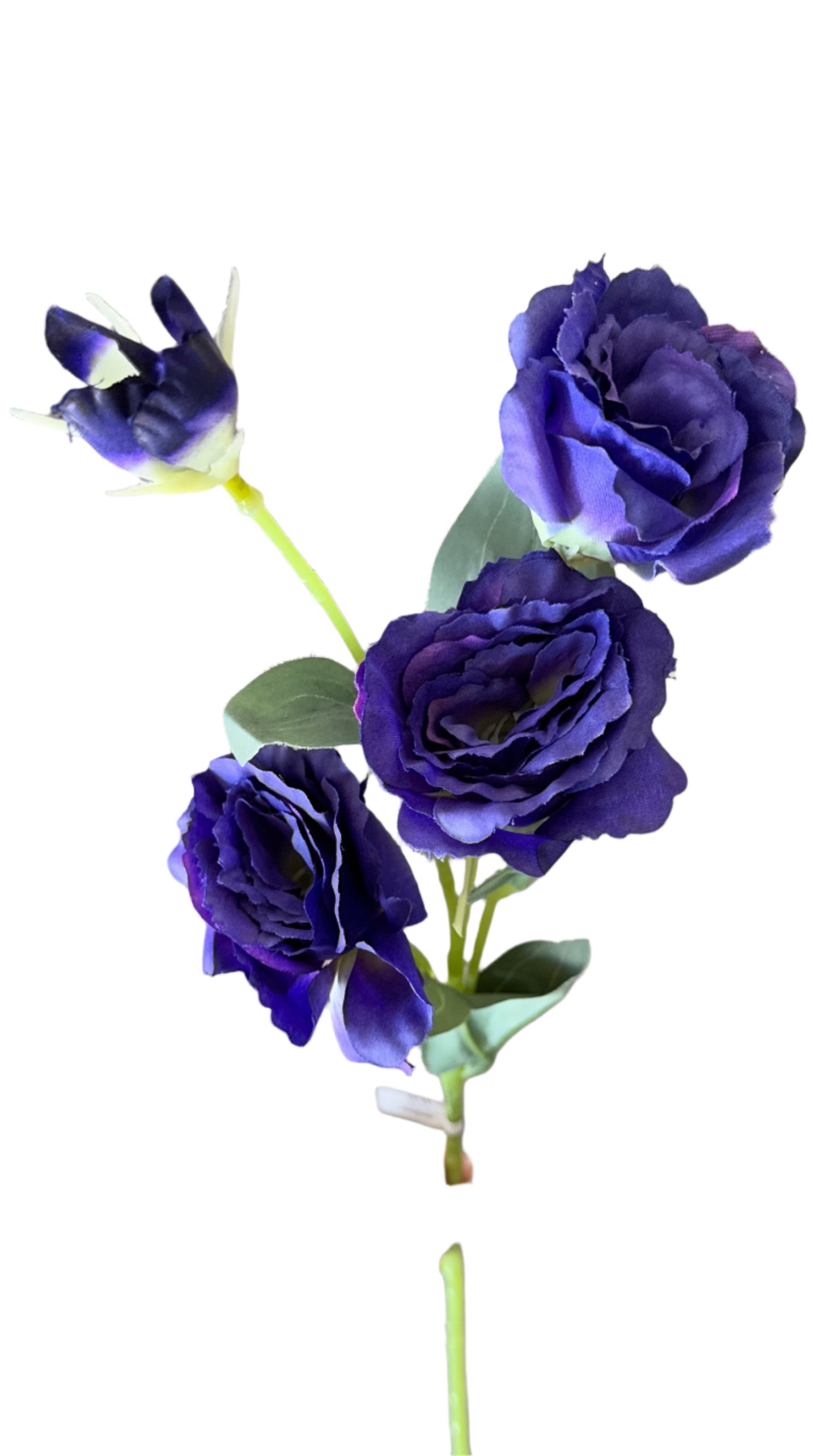 27” Lisianthus Floral Stem