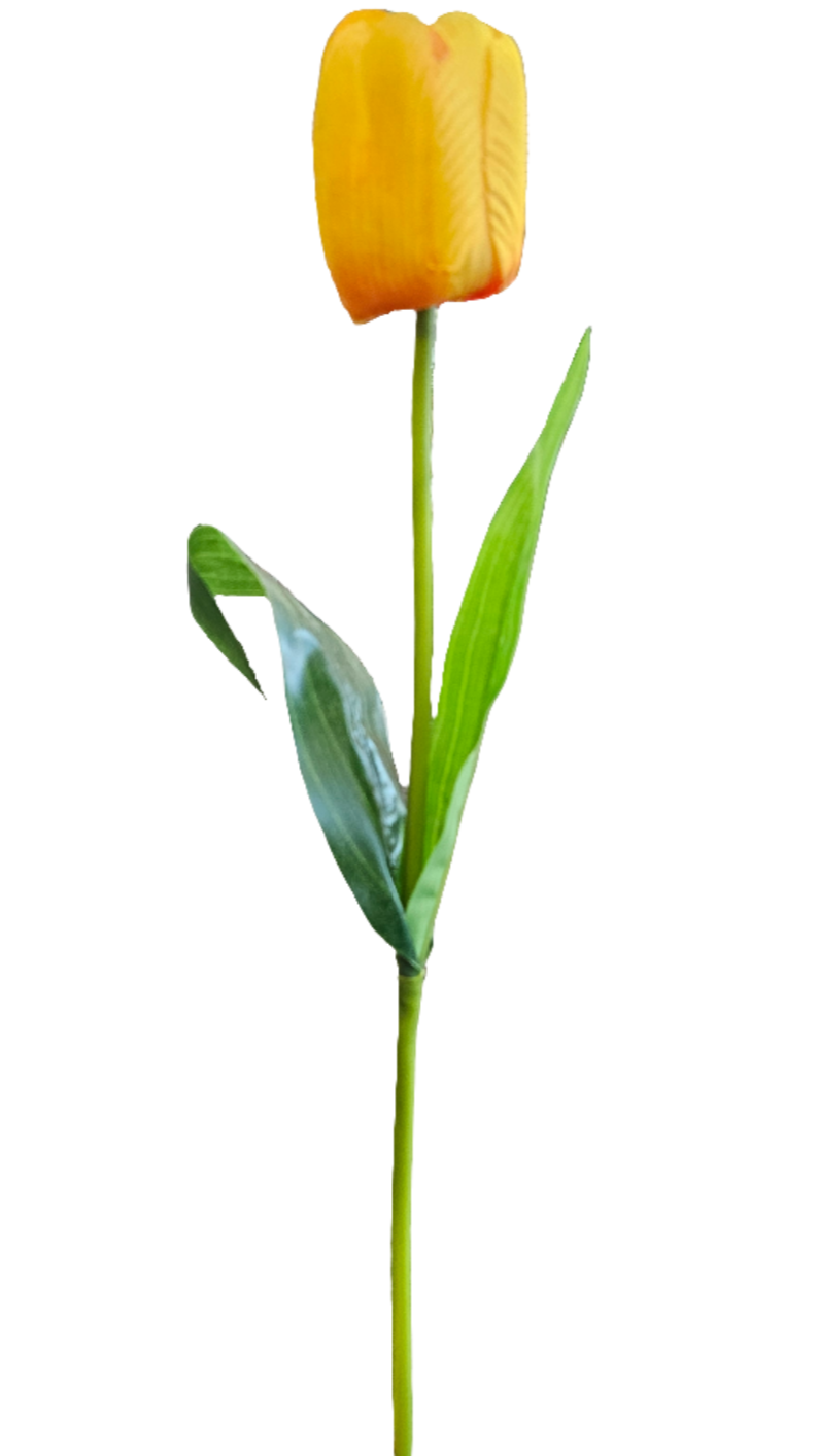 18" Silk Tulips