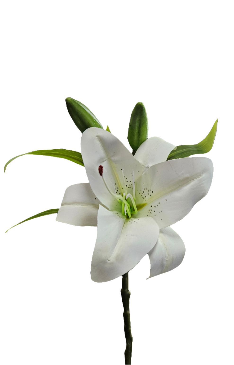 13" Lily Stem
