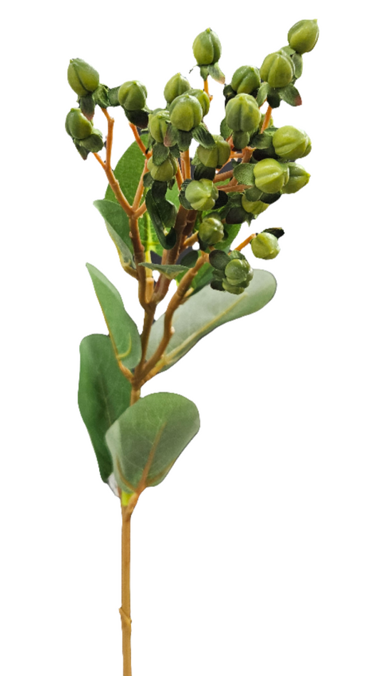 25" Hypericum Spray: Green