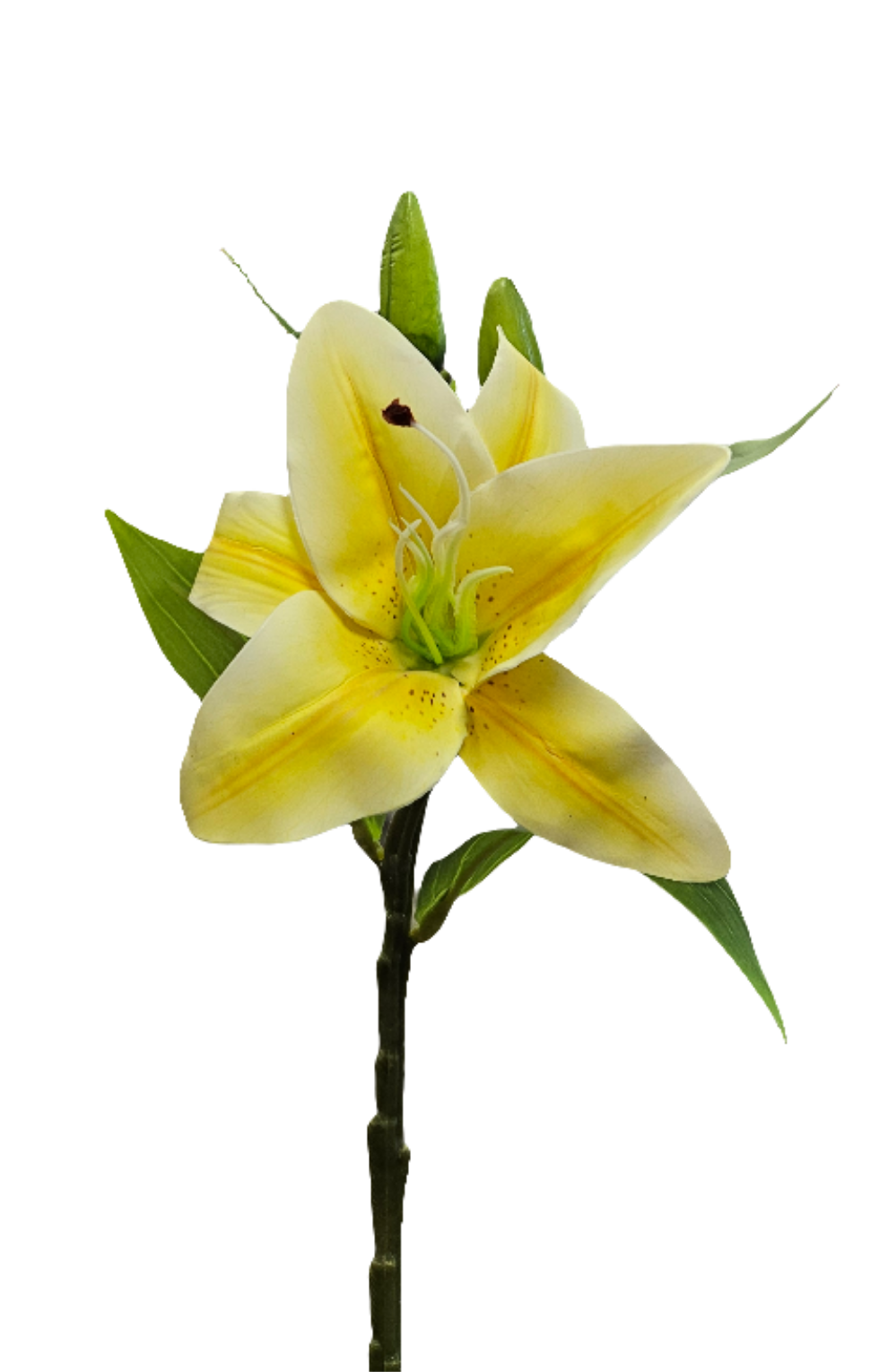 13" Lily Stem
