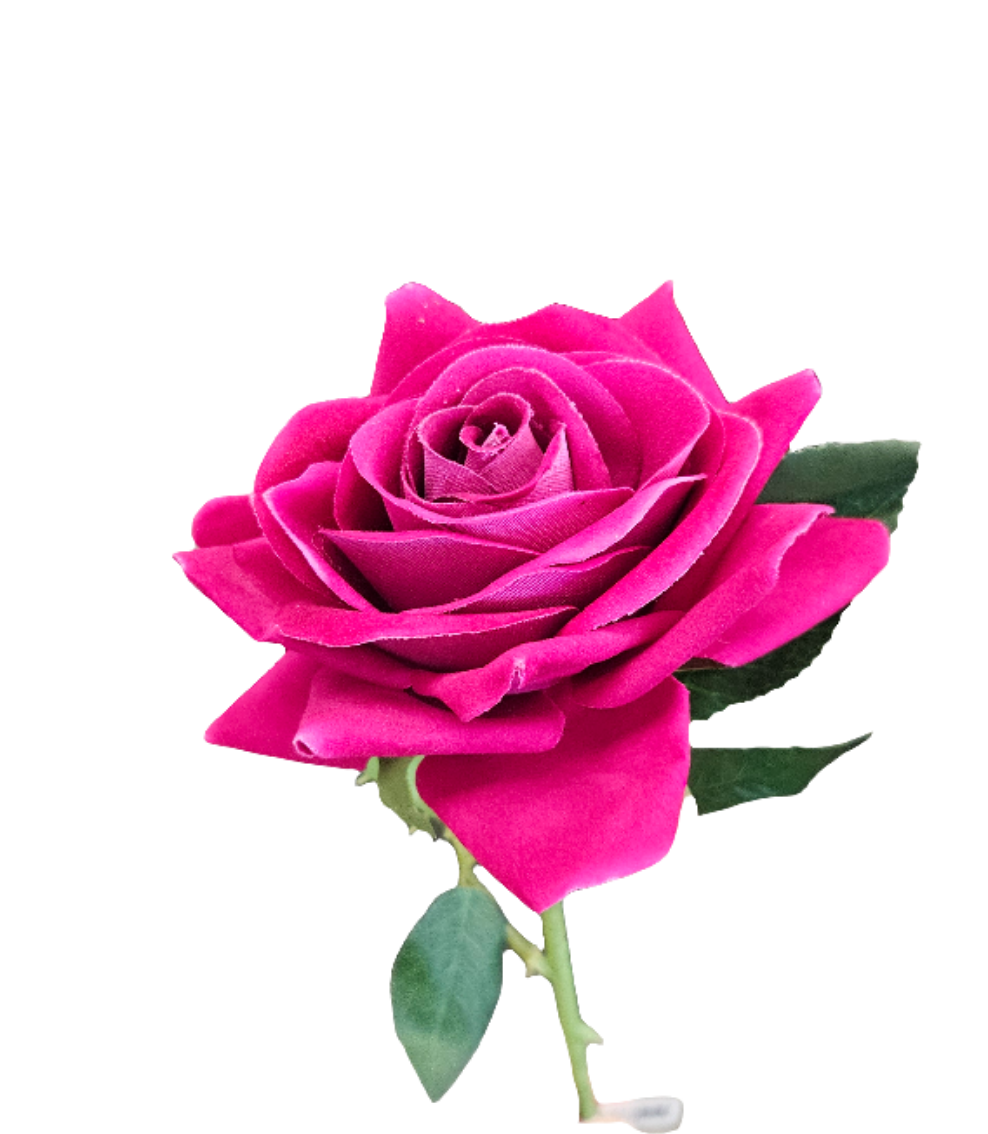 20" Ouli Rose Stem - 1 Bud