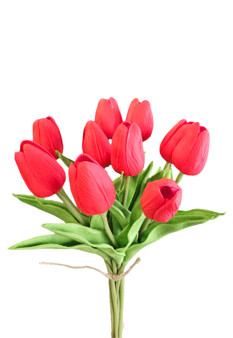 Tulips Bunch Set of 10 : Red