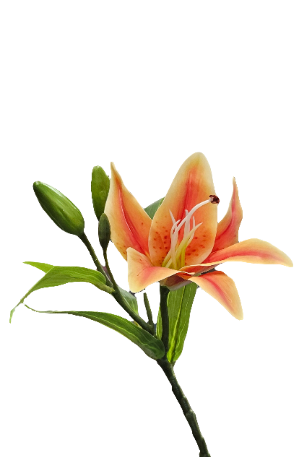 13" Lily Stem