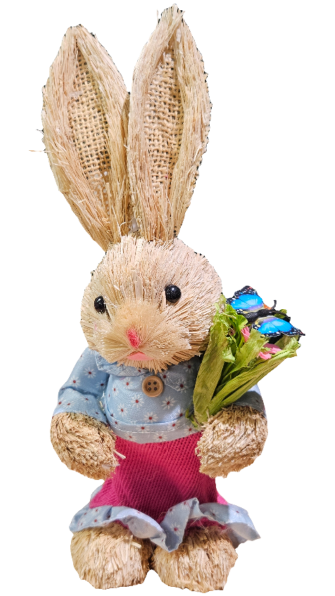 Straw Bunny w/ Clothing - 13"