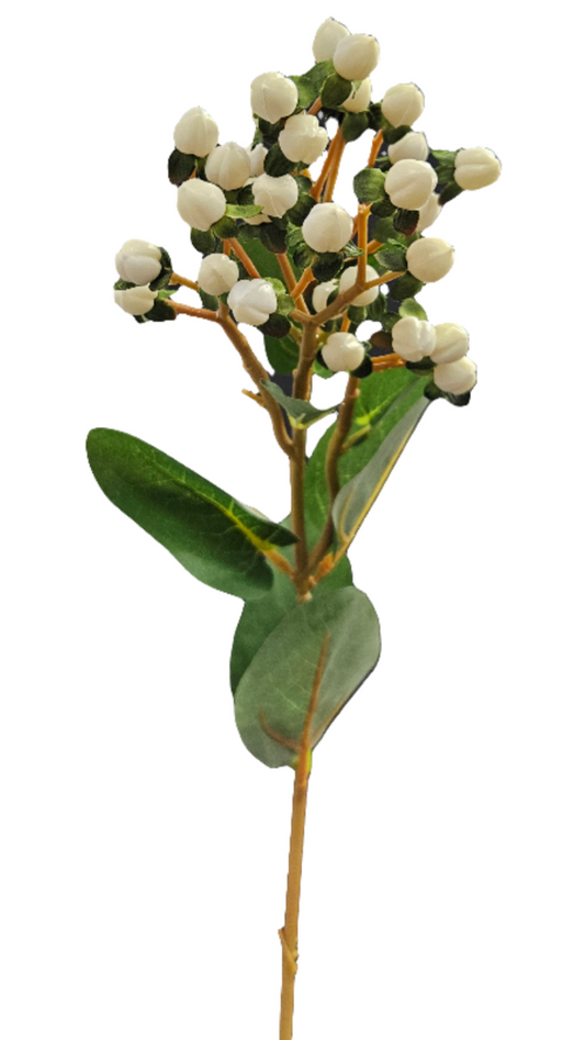 25" Hypericum Spray: White