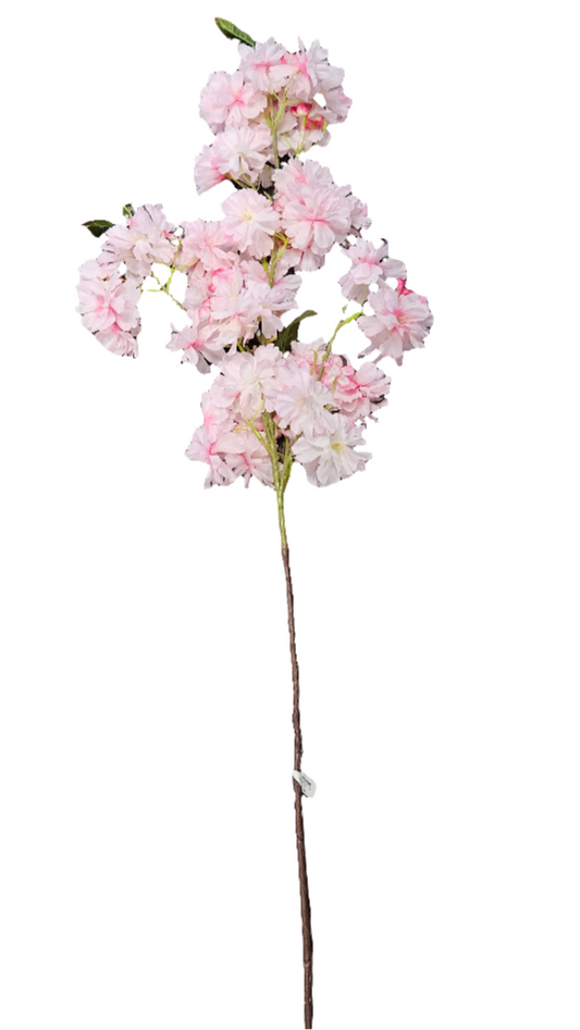 40” Cherry Blossoms