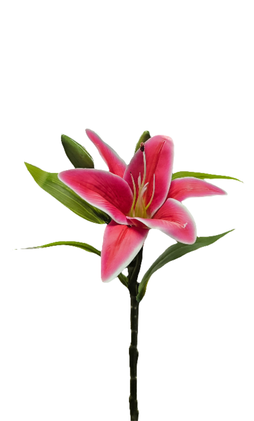 13" Lily Stem