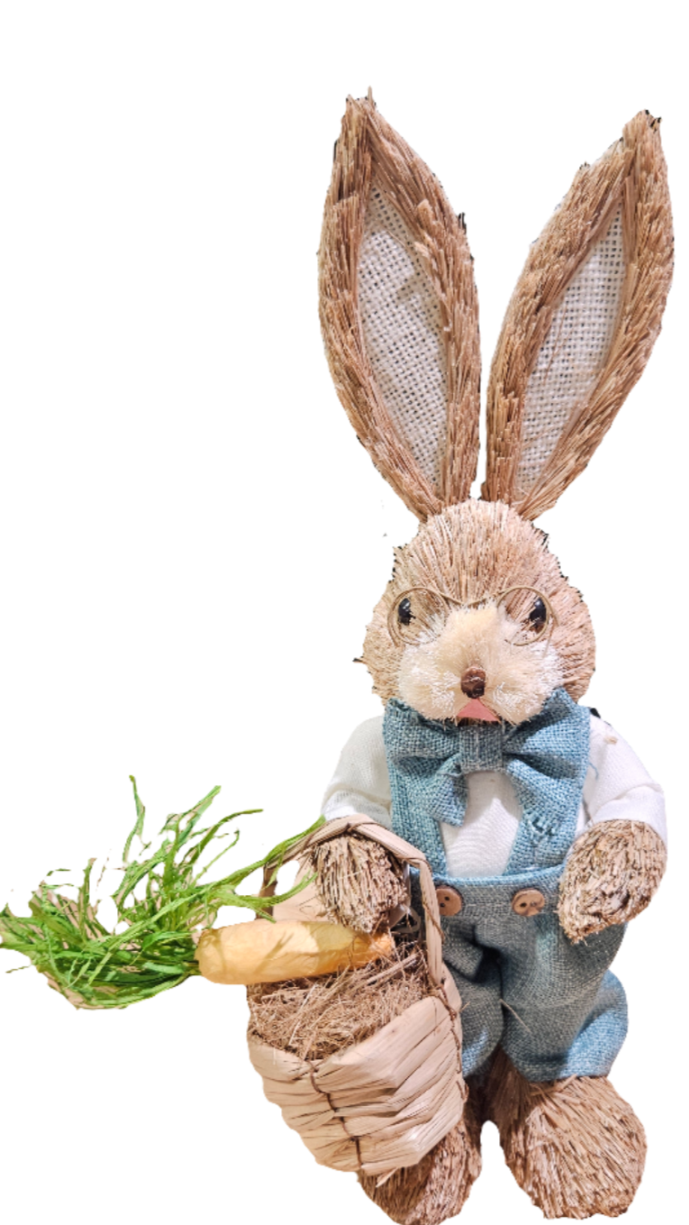 Straw Bunny w/ Clothing - 13"
