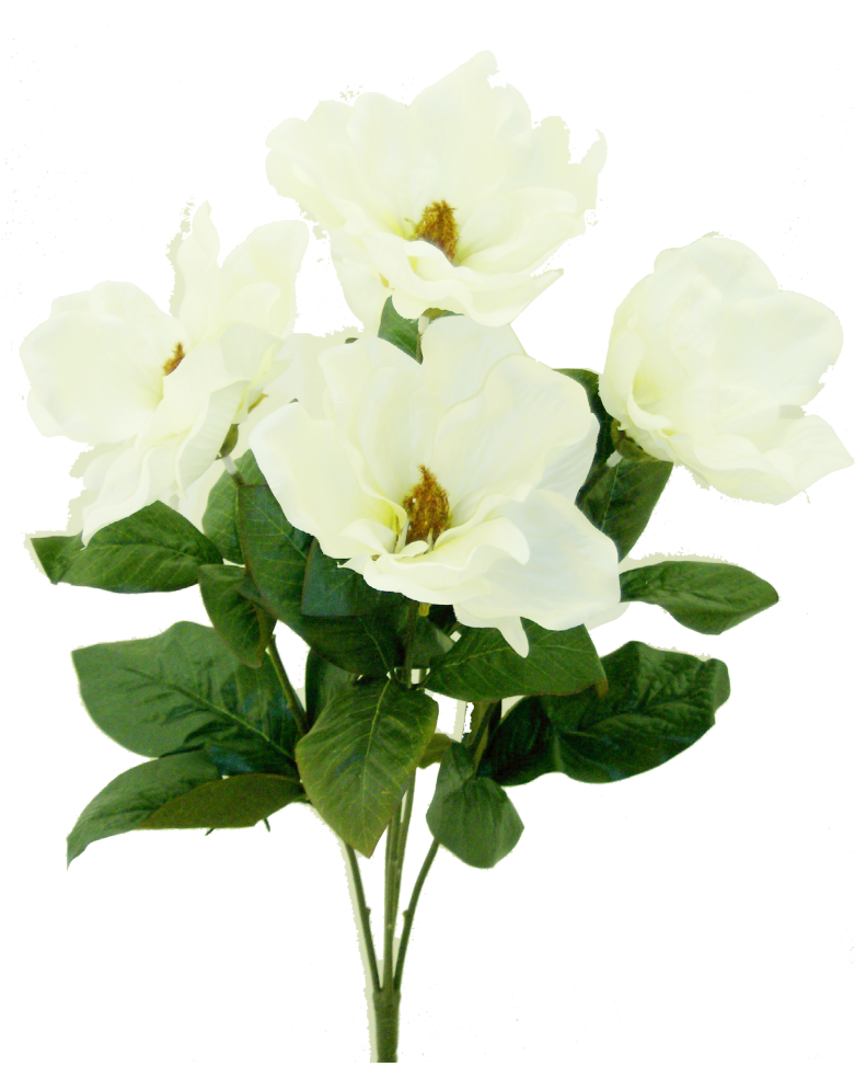 23" Magnolia Bush: White