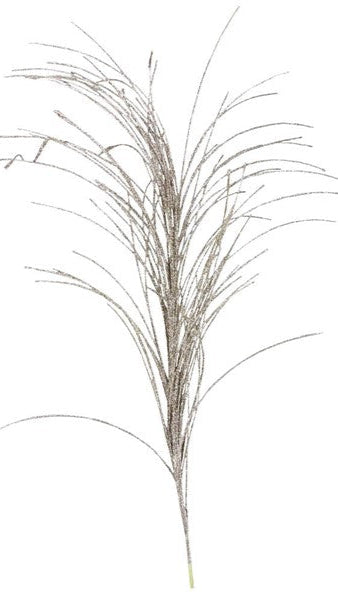 39" Glittered Pampas Grass: Champagne