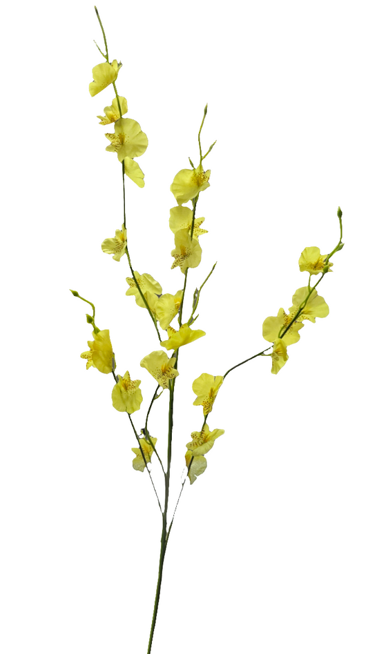 36" Oncidium Orchid