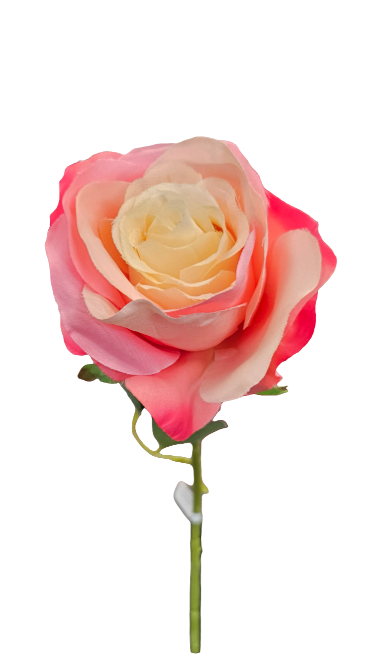 20" Single Rose Stems