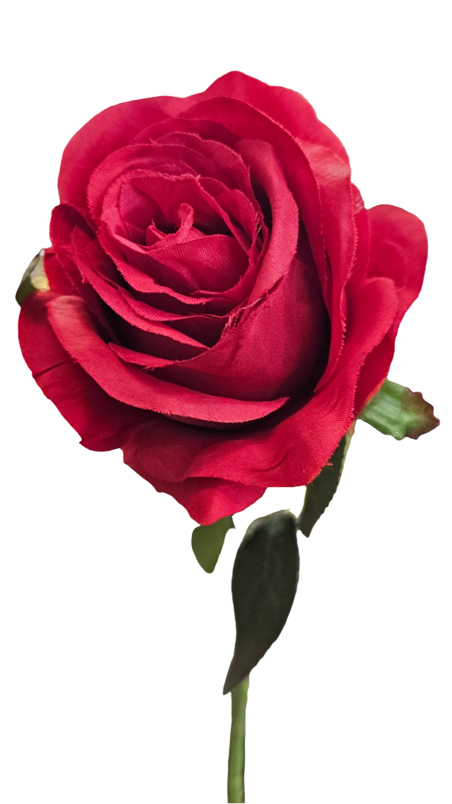 20" Single Rose Stems