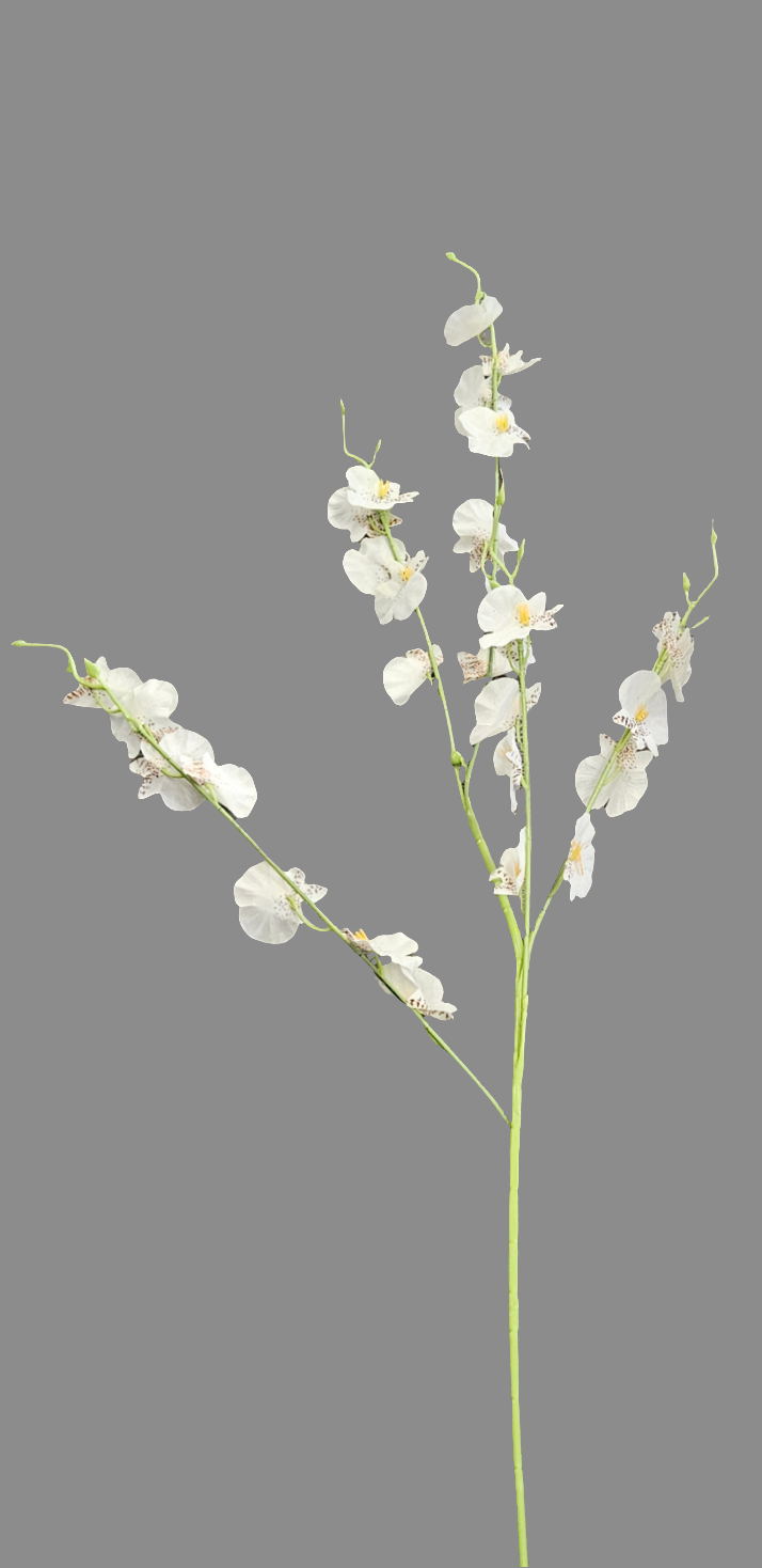 36" Oncidium Orchid