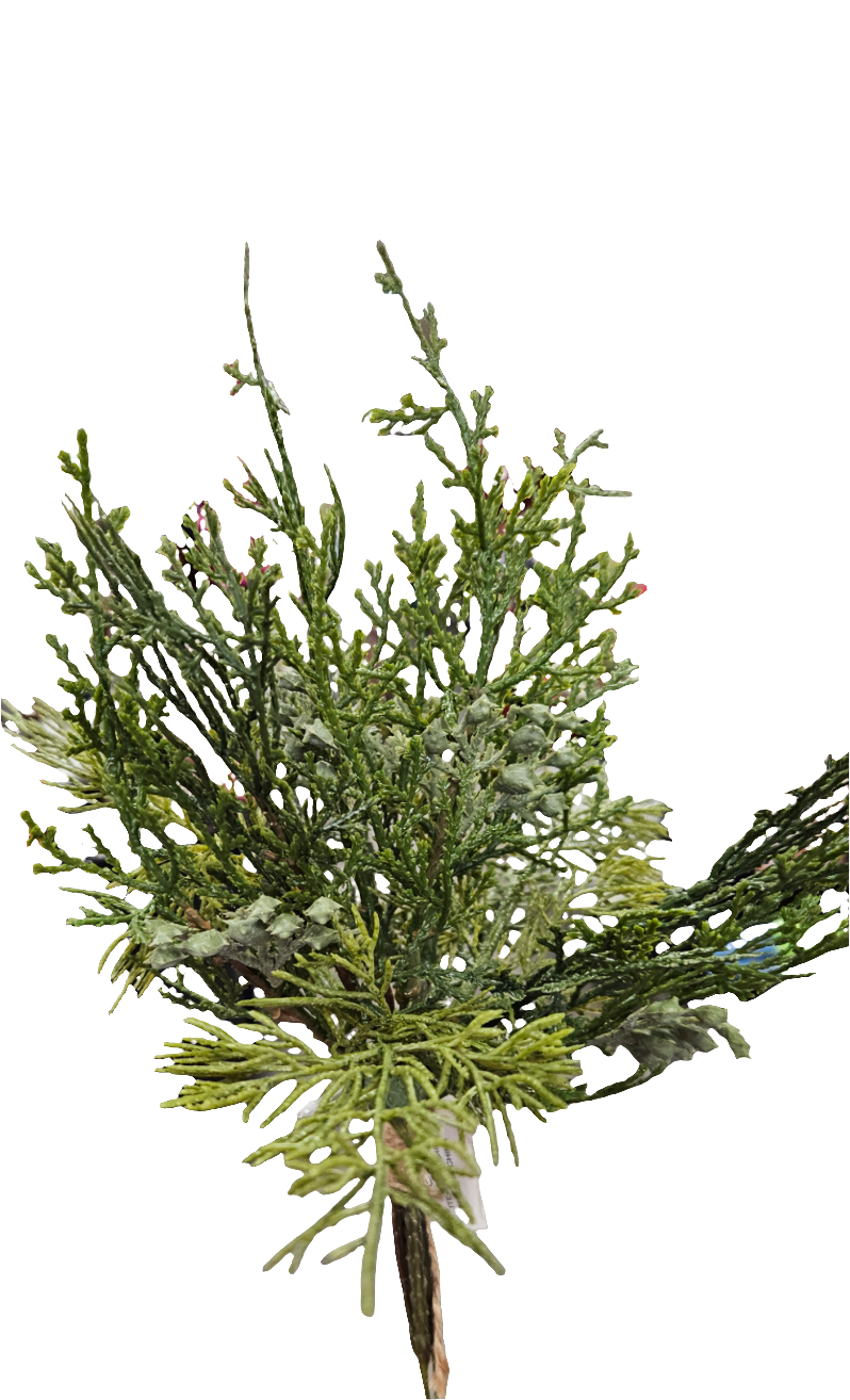 Cedar Pine Bundle