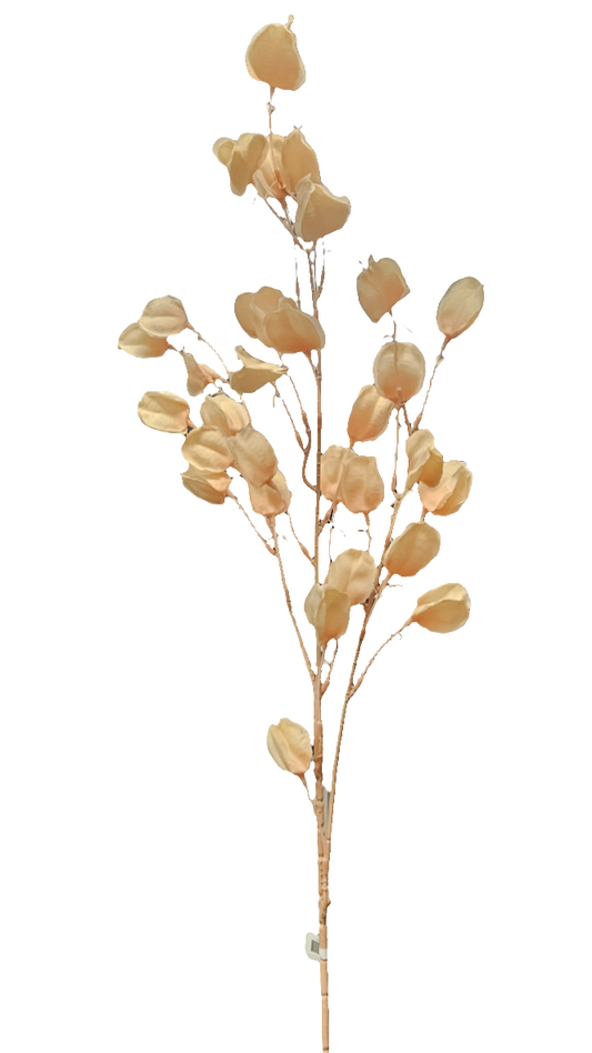 33" Chinese Lantern Flower Stem