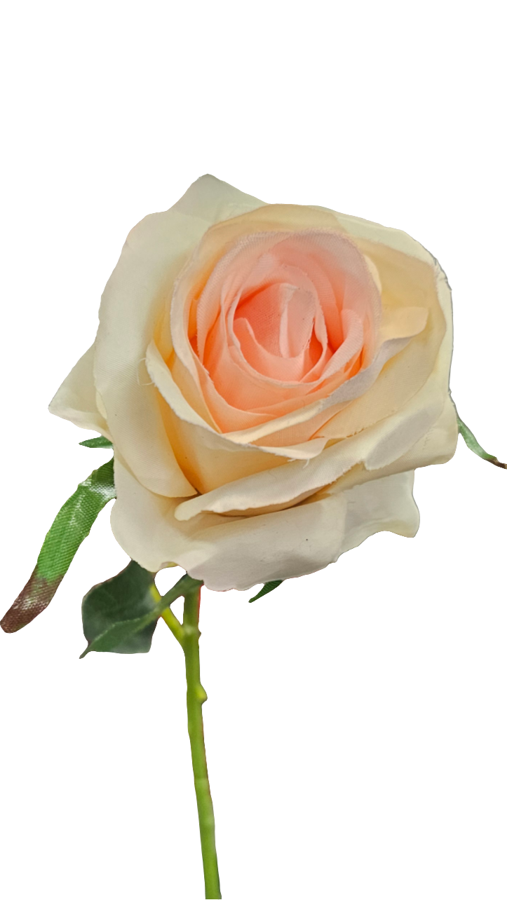 20" Single Rose Stems