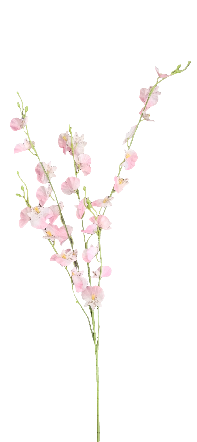 36" Oncidium Orchid