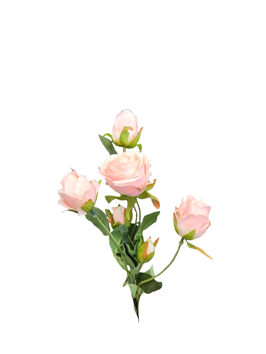 24” Ouli 6 Bud Rose Stem