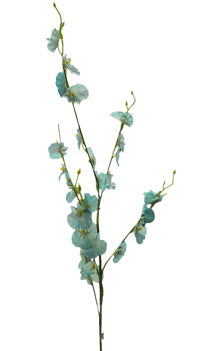 36" Oncidium Orchid