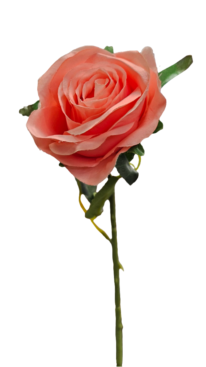 20" Single Rose Stems
