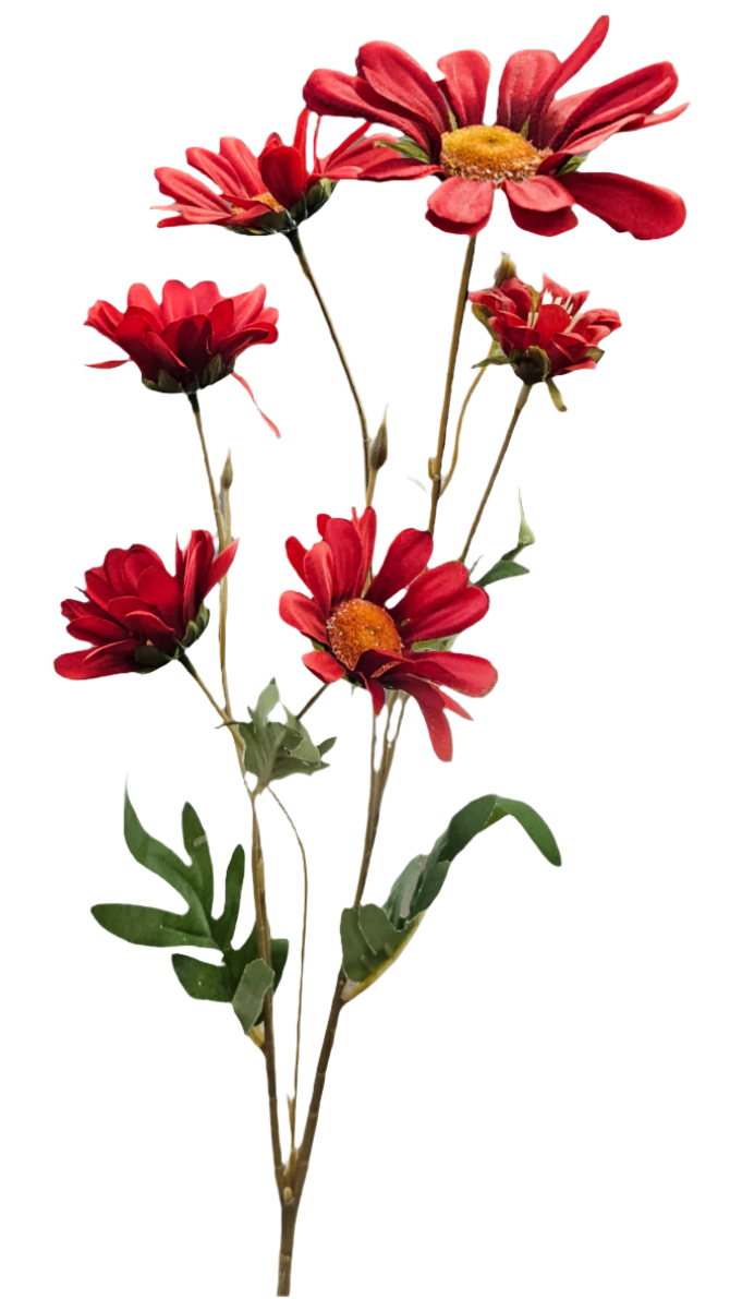 30" Daisy Stems