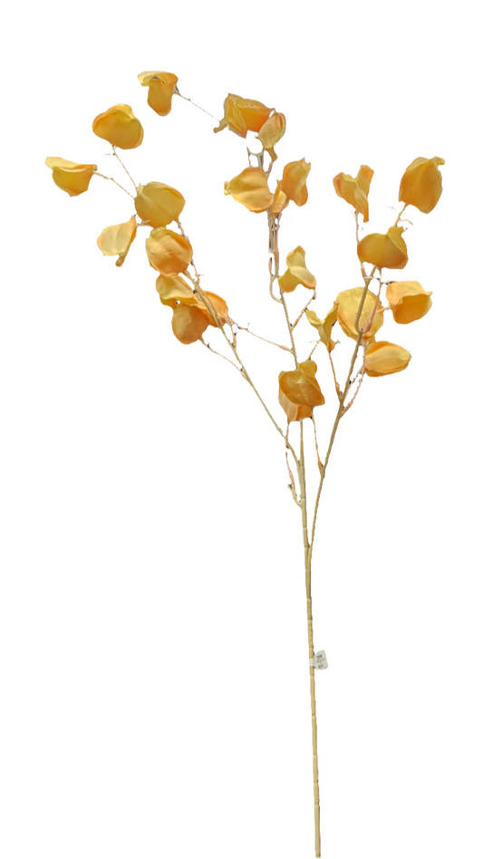 33" Chinese Lantern Flower Stem