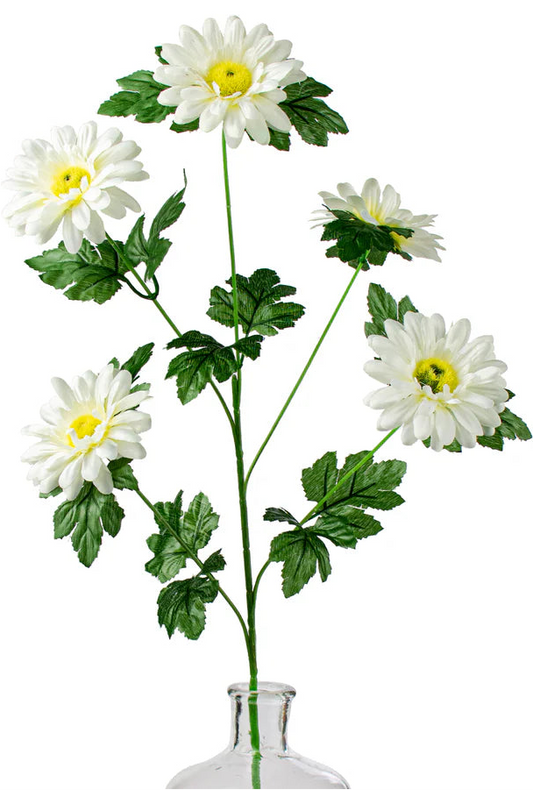 28" Daisy Spray: Cream