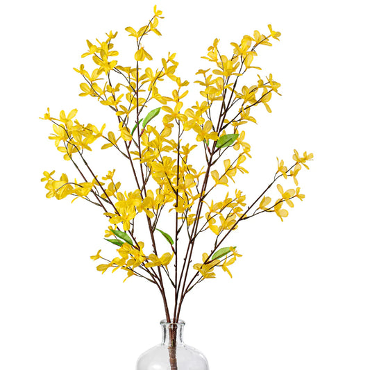 29" Forsythia Flower Bush: Yellow