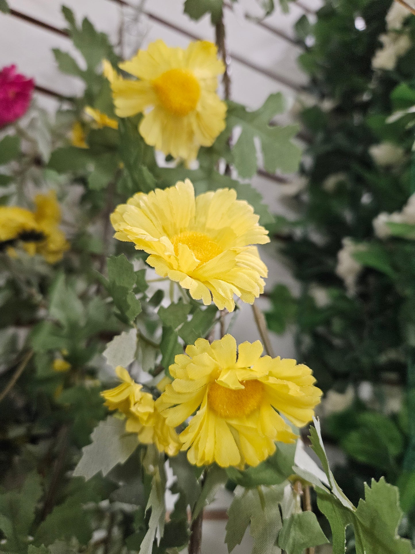 6' Daisy Garland