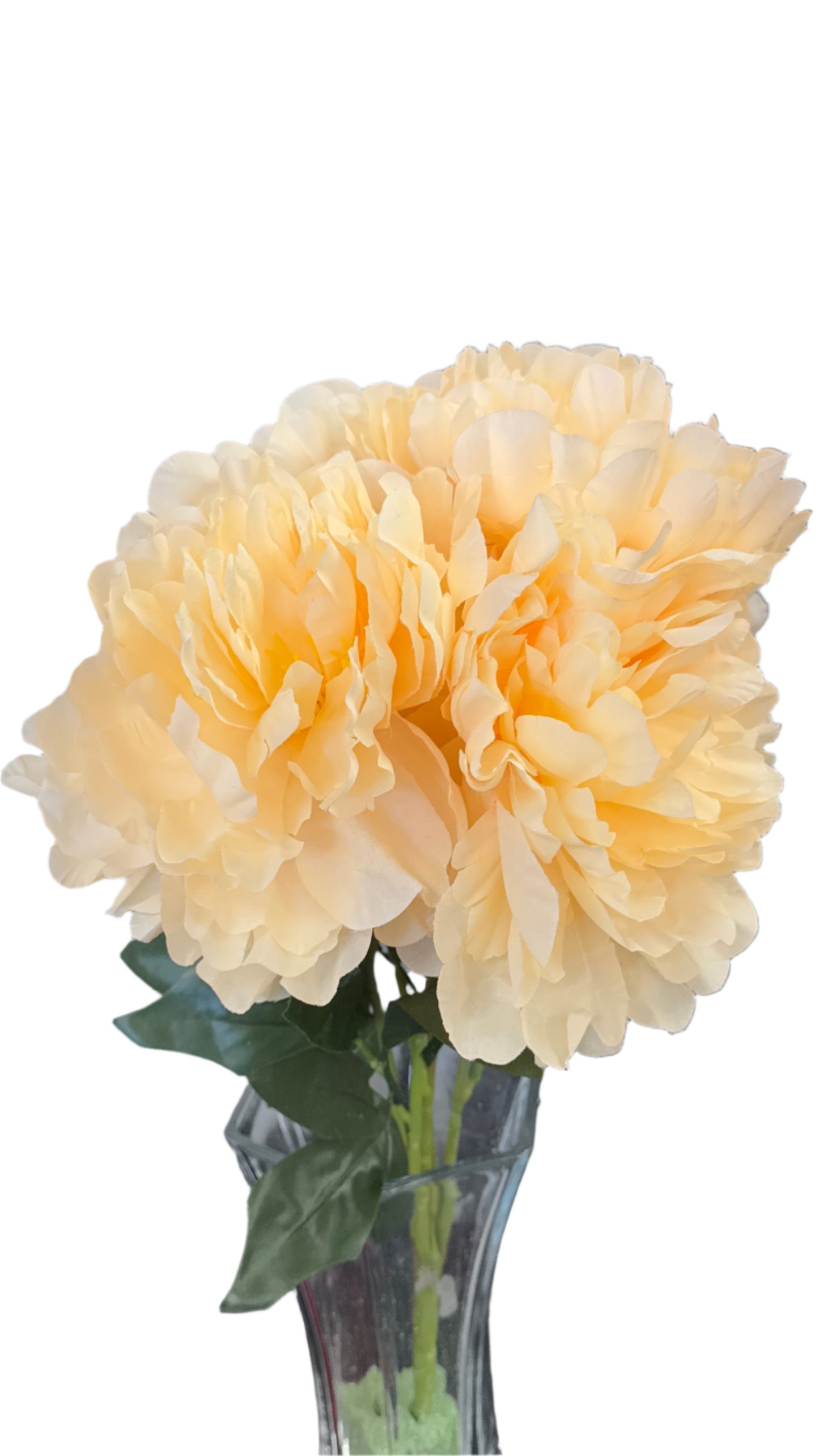 5 Head Peony Bunch