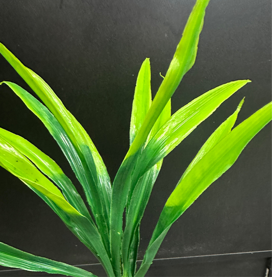 Grass Stem Green Mix Plastic
