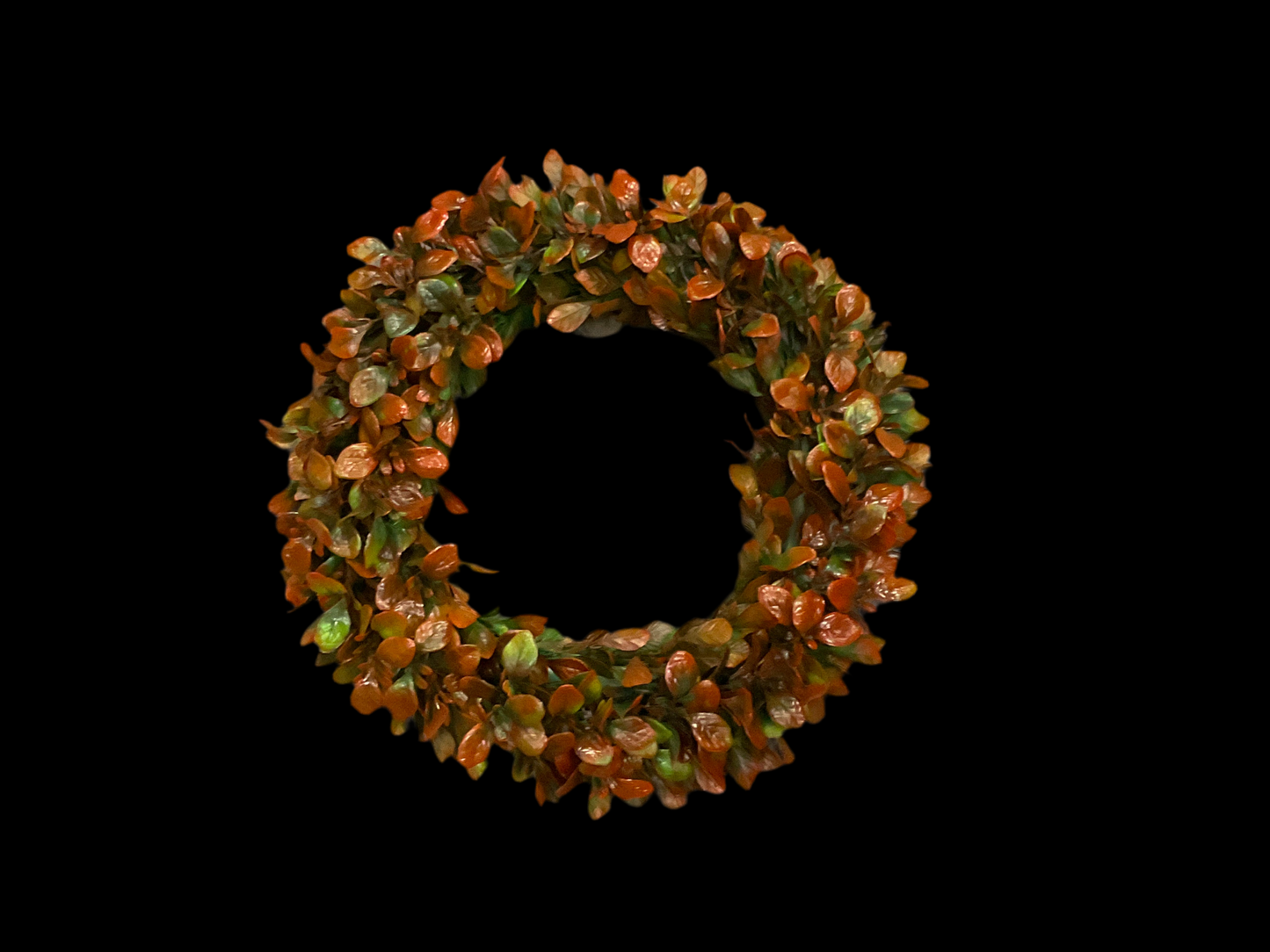 Wreath - Autumn Bay Leaf