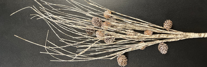 26” Birch and Pinecone Twig Pick