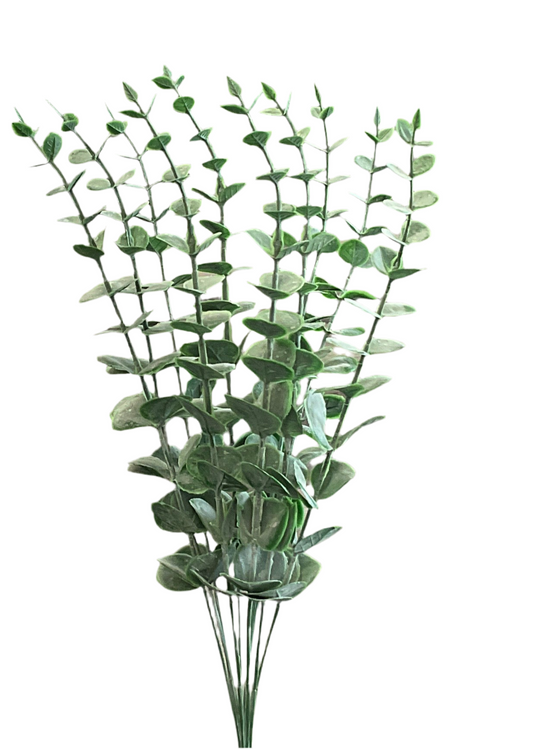 Eucalyptus Bundle Set of 10
