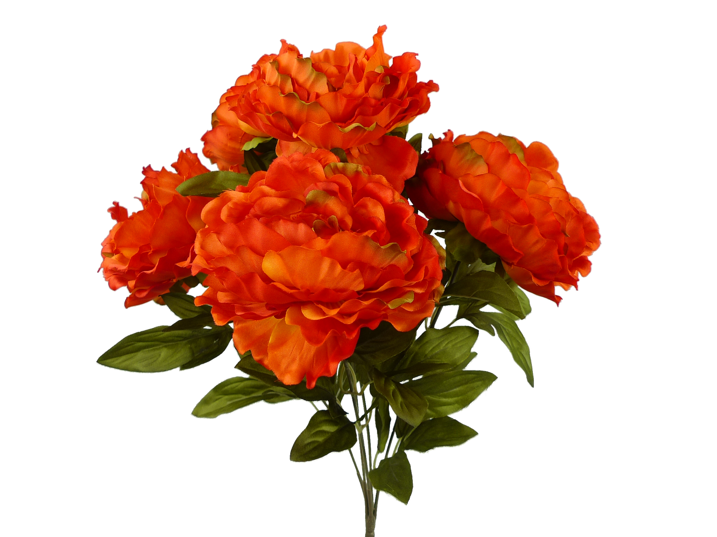 22" Color Fast Peony Bush