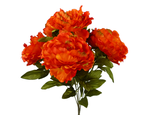 22" Color Fast Peony Bush