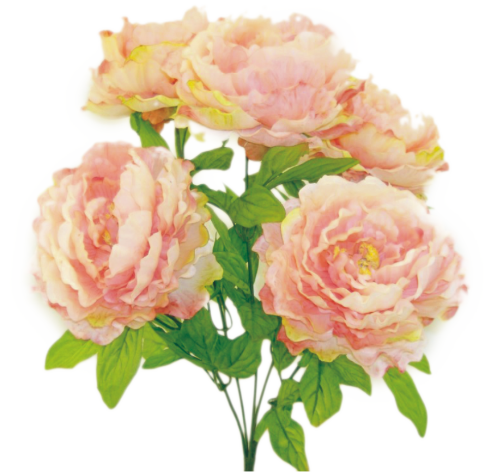 22" Color Fast Peony Bush