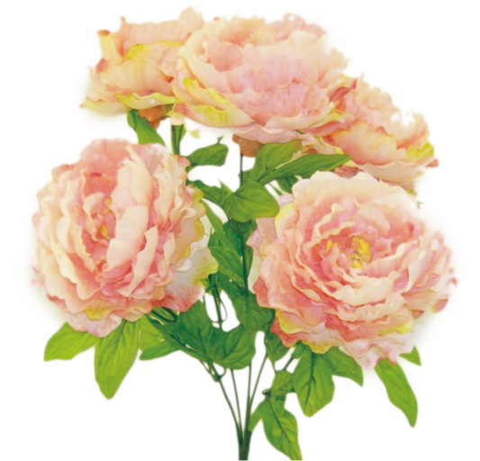 22" Color Fast Peony Bush