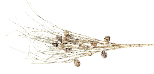 26” Birch and Pinecone Twig Pick